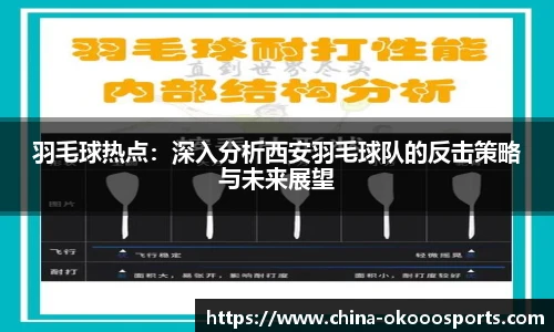 羽毛球热点：深入分析西安羽毛球队的反击策略与未来展望